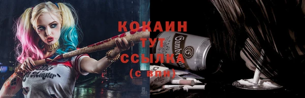 сатива Богородск