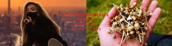 марки lsd Богданович