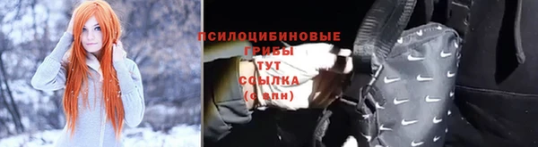 сатива Богородск