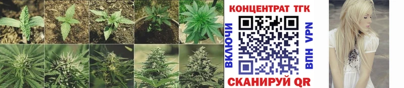 Дистиллят ТГК Wax мега ссылка Велиж дарнет шоп