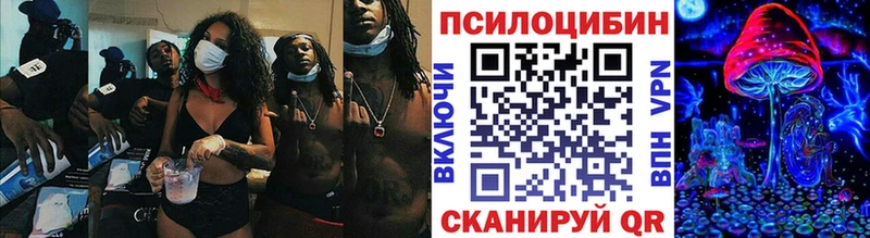 маркетплейс как зайти  наркотики  Велиж  Псилоцибиновые грибы Psilocybine cubensis 
